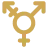 transgender icon